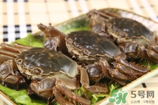 寶寶能吃螃蟹嗎？寶寶可以吃螃蟹肉嗎？