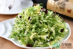 苦菊可以減肥嗎？苦菊怎么吃可以減肥？