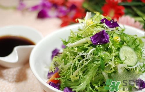 苦菊可以減肥嗎？苦菊怎么吃可以減肥？