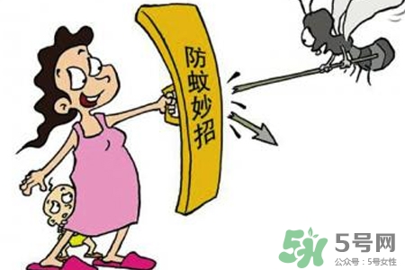 冬天為什么會有蚊子？冬天家里有蚊子怎么辦？