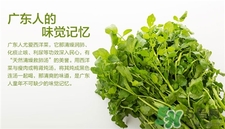 西洋菜的營養(yǎng)價(jià)值 西洋菜的功效與作用
