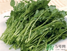 西洋菜的營養(yǎng)價(jià)值 西洋菜的功效與作用
