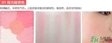 canmake花瓣腮紅珠光還是啞光好？canmake腮紅珠光好看還是啞光？