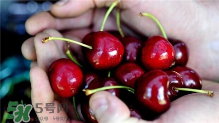 車厘子的營養(yǎng)價值 車厘子的功效與作用 車厘子的營養(yǎng)價值 車厘子的功效與作用