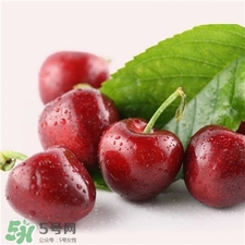 車厘子的營養(yǎng)價值 車厘子的功效與作用 車厘子的營養(yǎng)價值 車厘子的功效與作用