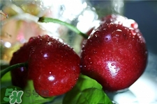 車?yán)遄涌梢匝a(bǔ)血嗎?車?yán)遄友a(bǔ)血效果好嗎? 車?yán)遄涌梢匝a(bǔ)血嗎?車?yán)遄友a(bǔ)血效果好嗎?