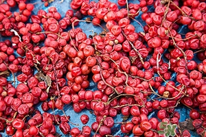 五味子茶韓國怎么喝？五味子茶的五種味道代表什么？