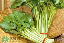 冬天可以吃空心菜嗎？冬天排毒多吃空心菜