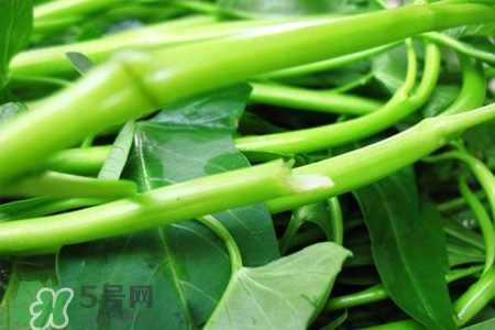 冬天可以吃空心菜嗎？冬天排毒多吃空心菜