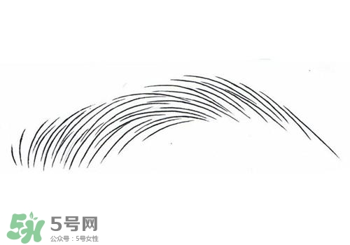 掉眉毛是怎么回事？掉眉毛還會(huì)長(zhǎng)嗎？