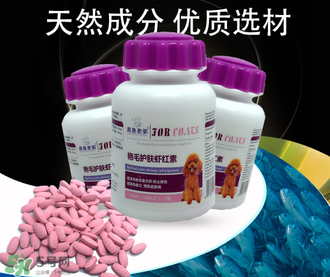 泰迪吃蝦紅素好嗎？蝦紅素的功效與作用