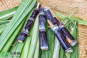 甘蔗皮有什么藥用功效？甘蔗皮的功效與作用