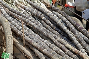 甘蔗皮有什么藥用功效？甘蔗皮的功效與作用