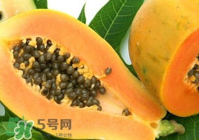 木瓜里面的黑籽可以吃嗎?木瓜籽的功效與作用 木瓜里面的黑籽可以吃嗎?木瓜籽的功效與作用