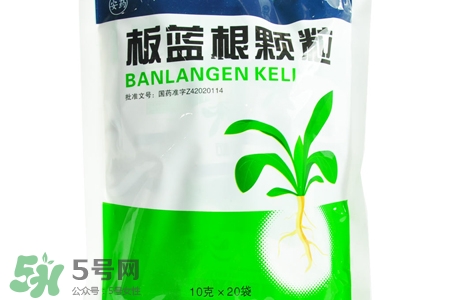 板藍(lán)根什么時(shí)候喝最好？板藍(lán)根一天中什么時(shí)間喝最好？