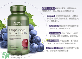 gnc葡萄籽怎么吃？gnc葡萄籽一天吃幾粒？
