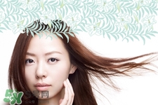 泊美是什么檔次？泊美屬于幾線品牌？