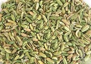 小茴香是孜然嗎？小茴香和孜然的區(qū)別