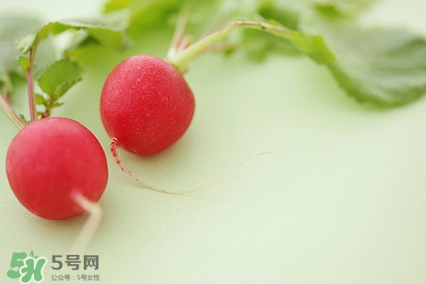 蘿卜根的營養(yǎng)價(jià)值 蘿卜根的功效與作用