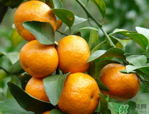 小橘子上火嗎？小橘子吃多了會上火嗎？