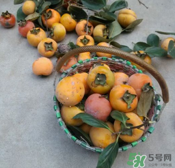 柿子長白點(diǎn)還能吃嗎？柿子上有白點(diǎn)能吃嗎？