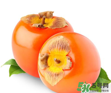 柿子籽能吃嗎？柿子籽的功效與作用