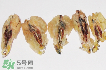 林蛙油是什么？林蛙油的功效與作用