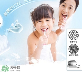 獅王牙刷怎么辨別真假？獅王牙刷真假對(duì)比