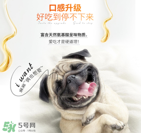 狗狗營(yíng)養(yǎng)膏什么牌子好？狗狗營(yíng)養(yǎng)膏多少錢？