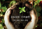 花肌粹護(hù)膚品怎么樣？花肌粹護(hù)膚品含激素嗎？