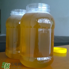冬蜜好還是春蜜好？冬蜜和春蜜的區(qū)別