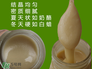 冬蜜是什么蜜？冬蜜的功效與作用