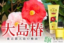 大島椿護(hù)發(fā)精油能涂臉嗎？大島椿發(fā)油的身體護(hù)理用法