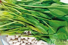 菠菜熱量高嗎？菠菜吃多了會發(fā)胖嗎？