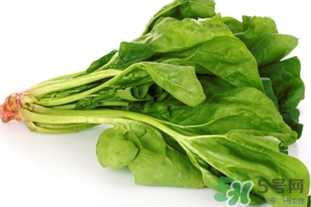 吃菠菜力氣會(huì)變大嗎？多吃菠菜既有力氣又能瘦