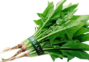 吃菠菜力氣會(huì)變大嗎？多吃菠菜既有力氣又能瘦