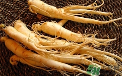 西洋參可以泡酒嗎?西洋參泡酒有什么功效 西洋參可以泡酒嗎?西洋參泡酒有什么功效