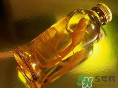 西洋參可以泡酒嗎?西洋參泡酒有什么功效 西洋參可以泡酒嗎?西洋參泡酒有什么功效