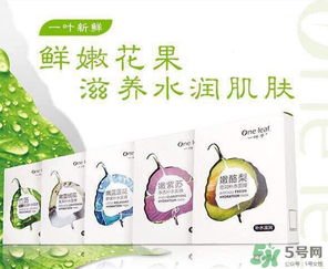 一葉子是哪個國家的？一葉子面膜是哪個國家的？