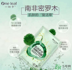 一葉子是哪個國家的？一葉子面膜是哪個國家的？