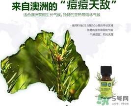 星期四農(nóng)莊茶樹精油怎么用？星期四農(nóng)莊茶樹精油使用方法