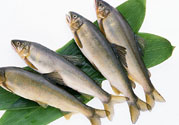 咽喉炎可以吃魚嗎？咽喉炎吃魚有什么好處？