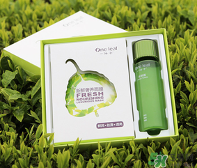 一葉子面膜怎么用？一葉子面膜使用方法