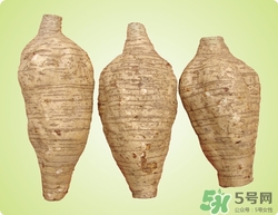 粉葛是什么東西?粉葛的功效與作用