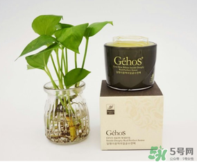 姬存希是哪個(gè)國(guó)家的？姬存希是哪里產(chǎn)的？