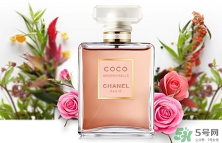香奈兒黑coco香水和白coco香水哪個好？香奈兒黑可可和白可可選擇