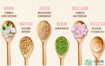 一葉子套裝怎么用？一葉子套裝使用說(shuō)明