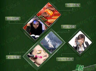 姬存希黃瓜膠多少錢(qián)？姬存希黃瓜膠價(jià)格