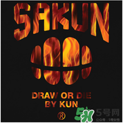 sakun是大品牌嗎？sakun是什么牌子