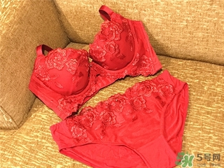黛安芬內(nèi)衣怎么樣？黛安芬內(nèi)衣價格圖片